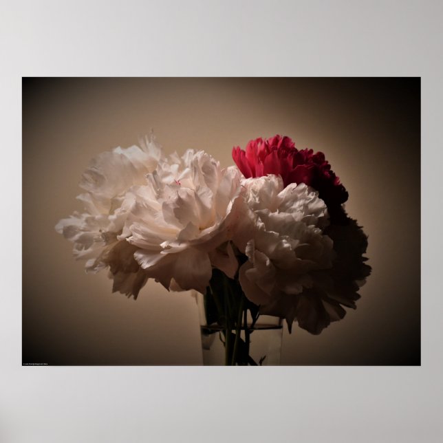 Peony, Poster (Front)