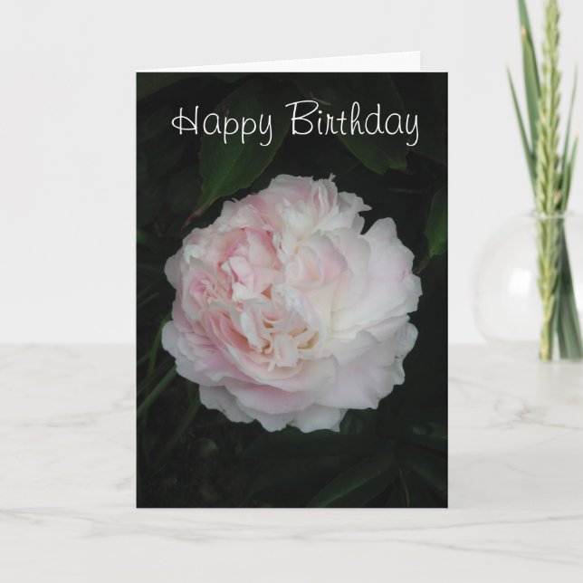 Peony Rose Birthday Card (Front)