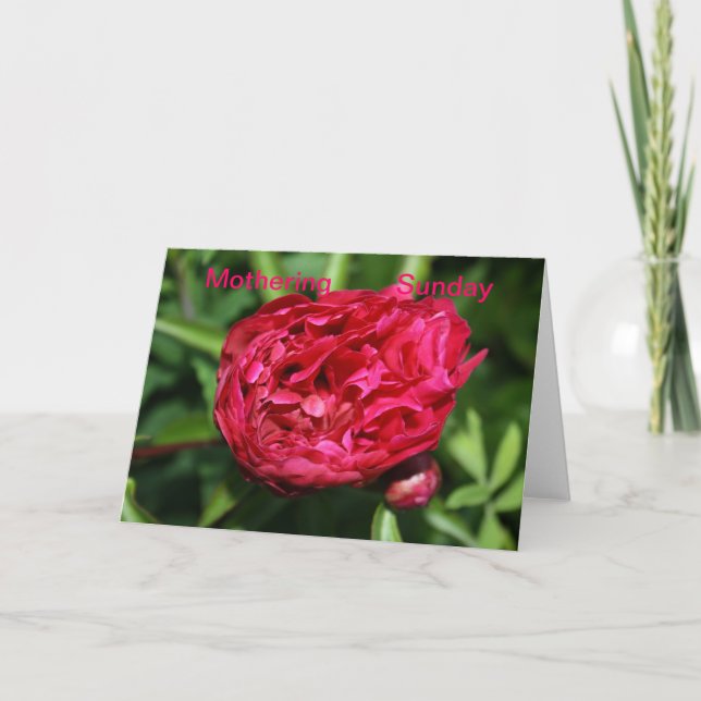 Peony Rose Mothering Sunday Card (Front)