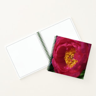 Peony ~ The Flowers Collection Sketchbook Notebook