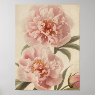 Peony Watercolor Elegance Poster