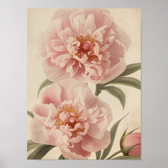 Peony Watercolor Elegance Poster (Front)