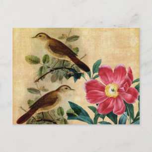 Peony with Nightingales Postcard