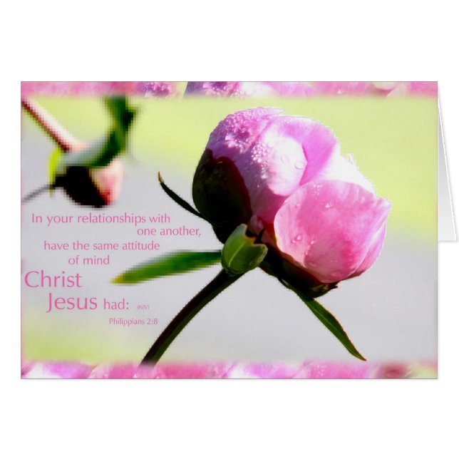 peony with Phillipians 2:8 verse (Front Horizontal)