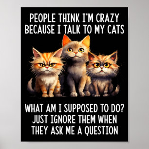 People think i'm crazy because i talk my cats poster