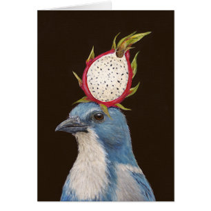 Pepe' the Florida scrub jay card