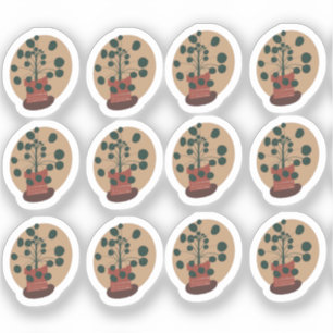 Peperomia Plant Drawing Design