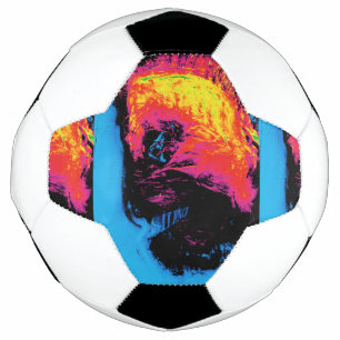 pepper and plastic silenced soccer ball