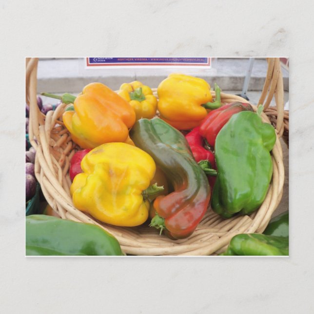 Pepper Basket Postcard (Front)
