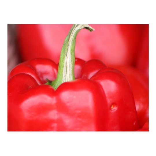 Pepper Closeup postcard