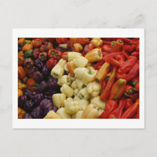 Pepper Family Postcard