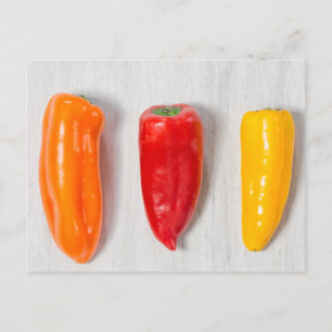 Pepper Still Life Postcard