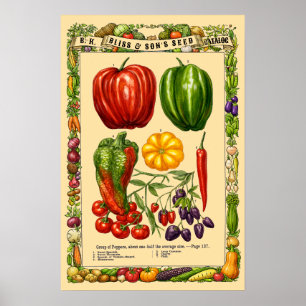Pepper Varieties Retro Victorian Era Botanical Art Poster