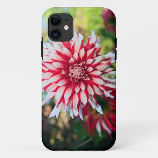 Peppermint Dahlia iPhone 5 Case-Mate Case (Back)