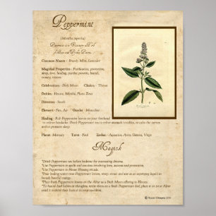 PEPPERMINT MAGICK HERB POSTER