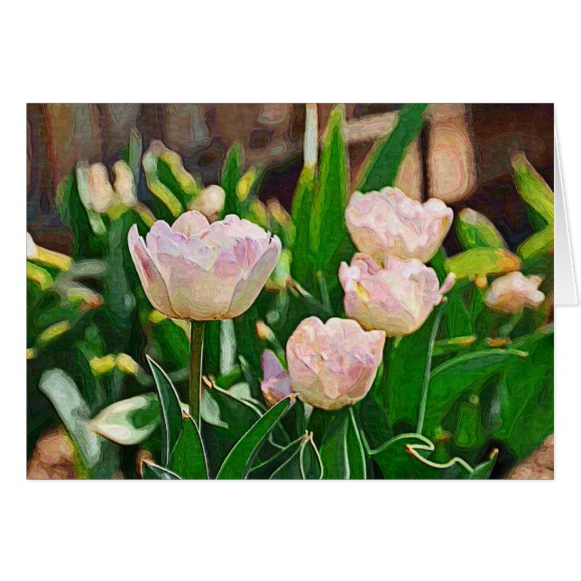Peppermint Tulips (Impasto) (Front Horizontal)