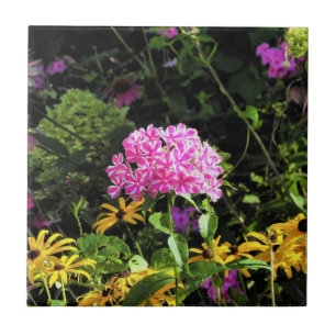 Peppermint Twist Phlox in the Flower Garden Ceramic Tile