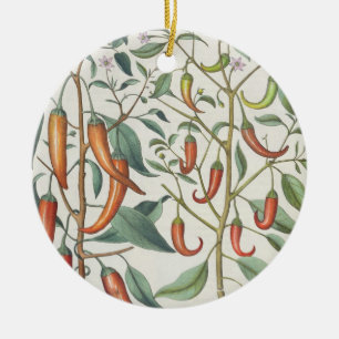 Peppers: 1.Piper Indicum maximum longum; 2.Piper I Ceramic Ornament