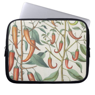 Peppers: 1.Piper Indicum maximum longum; 2.Piper I Laptop Sleeve