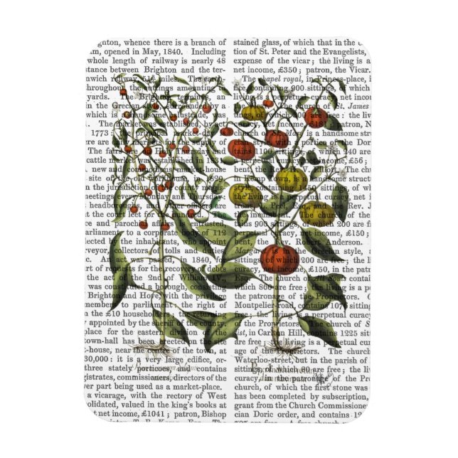 Peppers 4 magnet (Vertical)