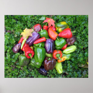 Peppers & Maple Leaves Poster