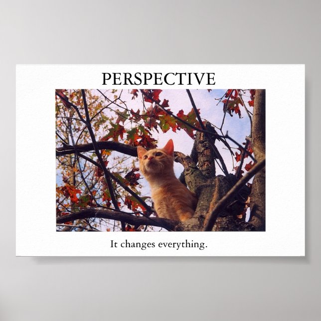 perception poster (Front)