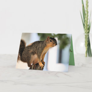 Perch Card