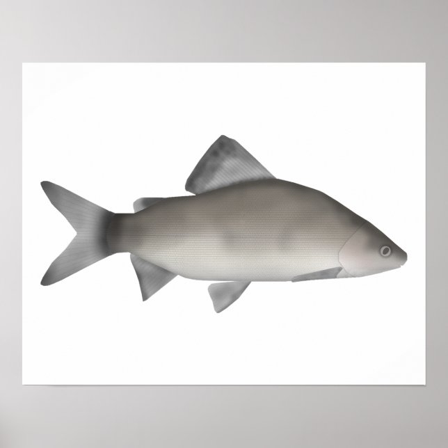 Perch Poster (Front)