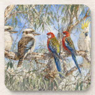 Perched Among the Eucalyptus Coaster