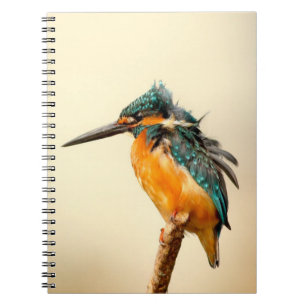 Perched Bird Notebook