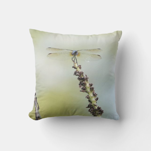 Perched dragonfly! Nature lover's  Cushion (Front)