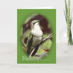 Perched female Hummingbird- customise any occasion Card