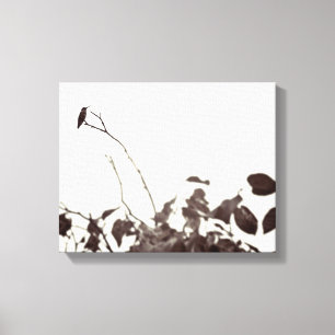 Perched Hummingbird 14x11 Wrapped Canvas