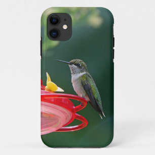 Perched Hummingbird iPhone 11 Case