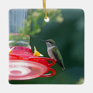 Perched Hummingbird Ceramic Ornament