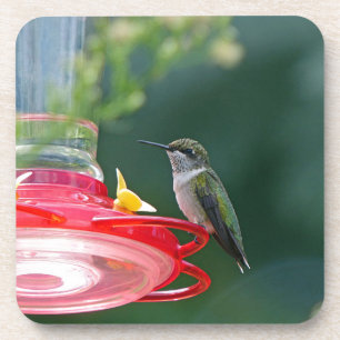 Perched Hummingbird Coaster