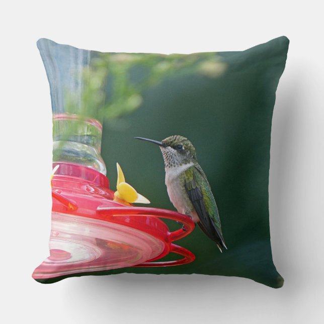 Perched Hummingbird Cushion (Front)