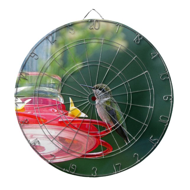 Perched Hummingbird Dartboard (Front)