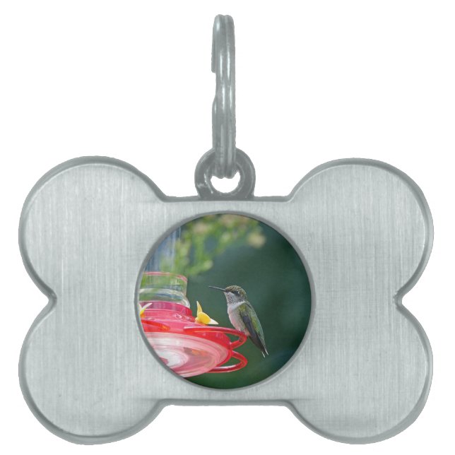 Perched Hummingbird Pet Tag (Front)