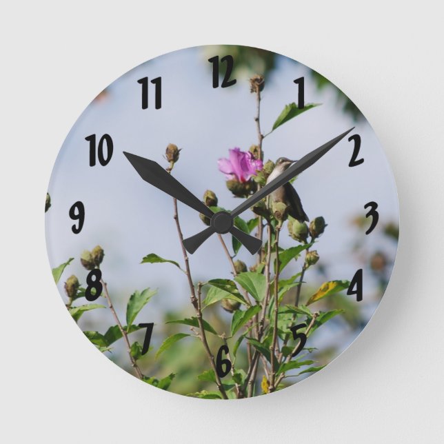 Perched Hummingbird Round Clock (Front)