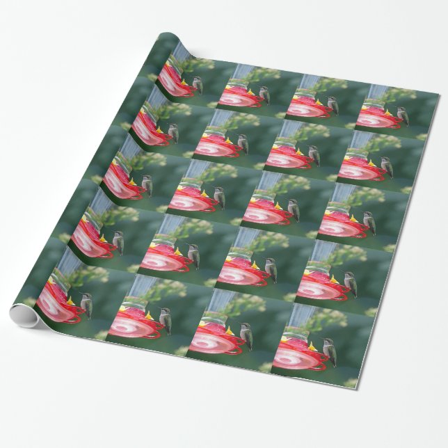 Perched Hummingbird Wrapping Paper (Unrolled)