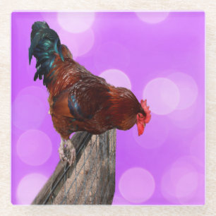Perched in Majesty: Rooster On Dreamy Purple Glow Glass Coaster