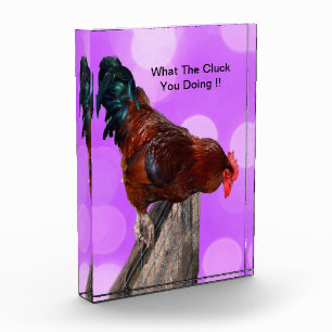 Perched in Majesty: Rooster On Dreamy Purple Glow Photo Block