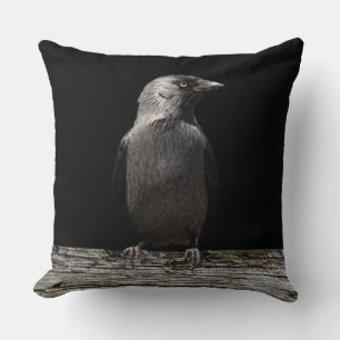 Perched on a Fence Raven Cushion