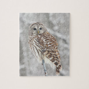 Perched Owl - Puzzle