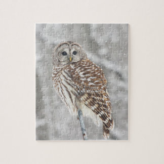 Perched Owl - Puzzle