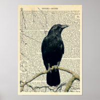Perched Raven, Crow, Edgar Allan Poe, Gothic
