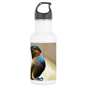 Perched Ruby and Green little Hummingbird 532 Ml Water Bottle