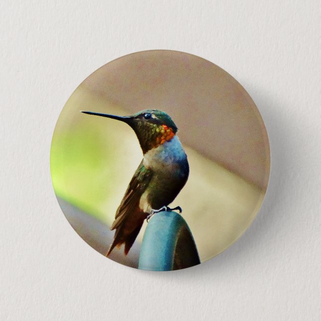Perched Ruby and Green  little Hummingbird 6 Cm Round Badge (Front)
