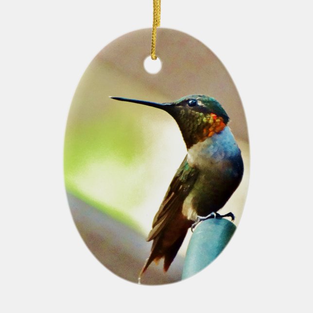 Perched Ruby and Green  little Hummingbird Ceramic Tree Decoration (Front)